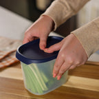 One Touch Fresh™ Oval | 4½ cup / 1.1 L