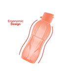 Eco+ Bottle | Small