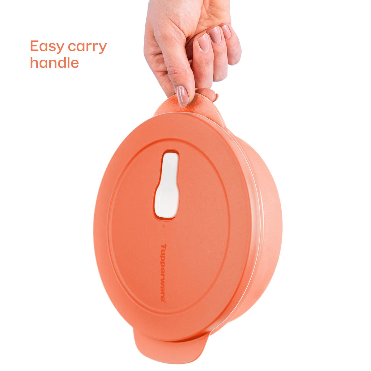 CrystalWave® PLUS | Lunch ’N Dish with Cold Cup