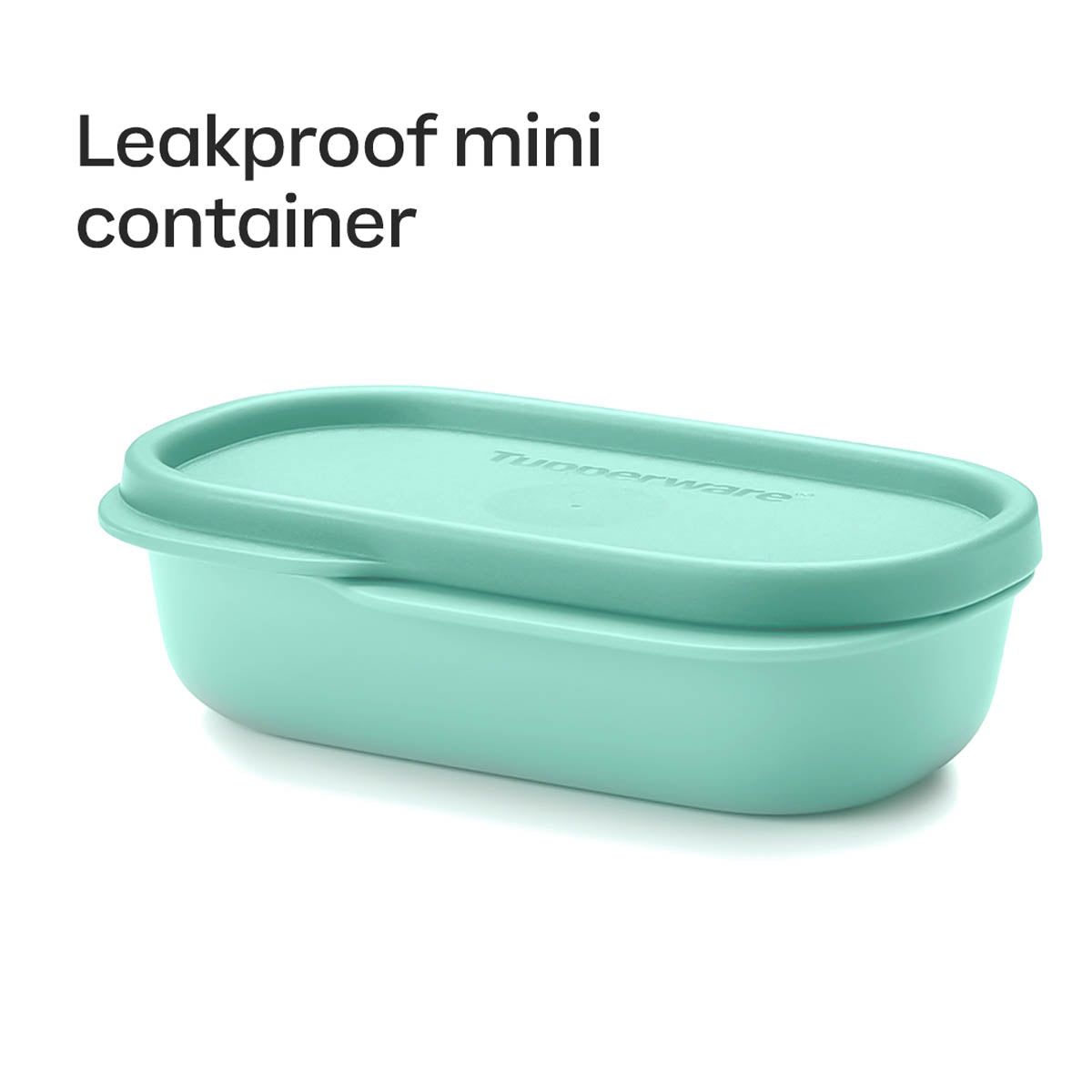 Slim Lunch Container
