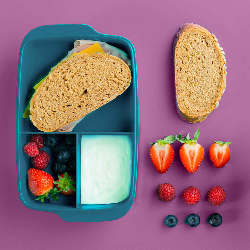 Lunch-It® Large Container