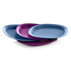 Microwave Reheatable Luncheon Plates